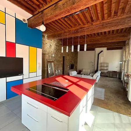 Loft Cosy - 2 - Vieux Λυών
